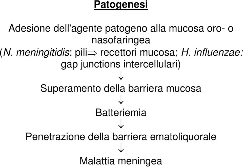 influenzae: gap junctions intercellulari) Superamento della