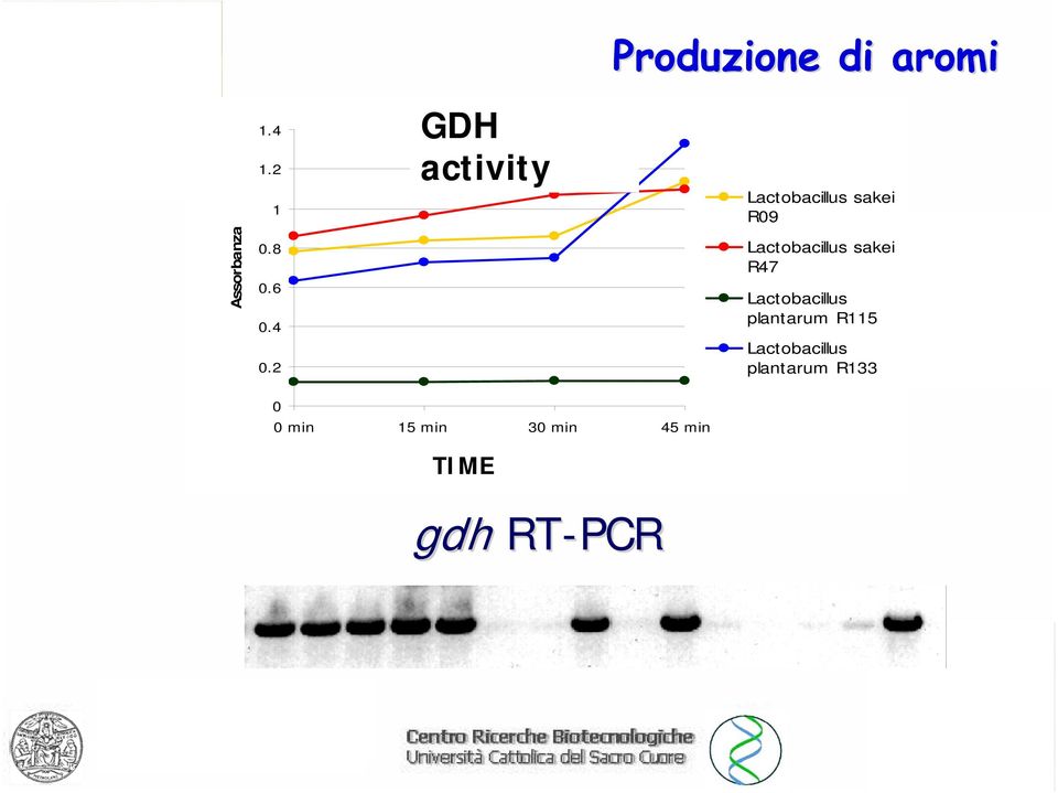 Lactobacillus sakei R09 Lactobacillus sakei R47