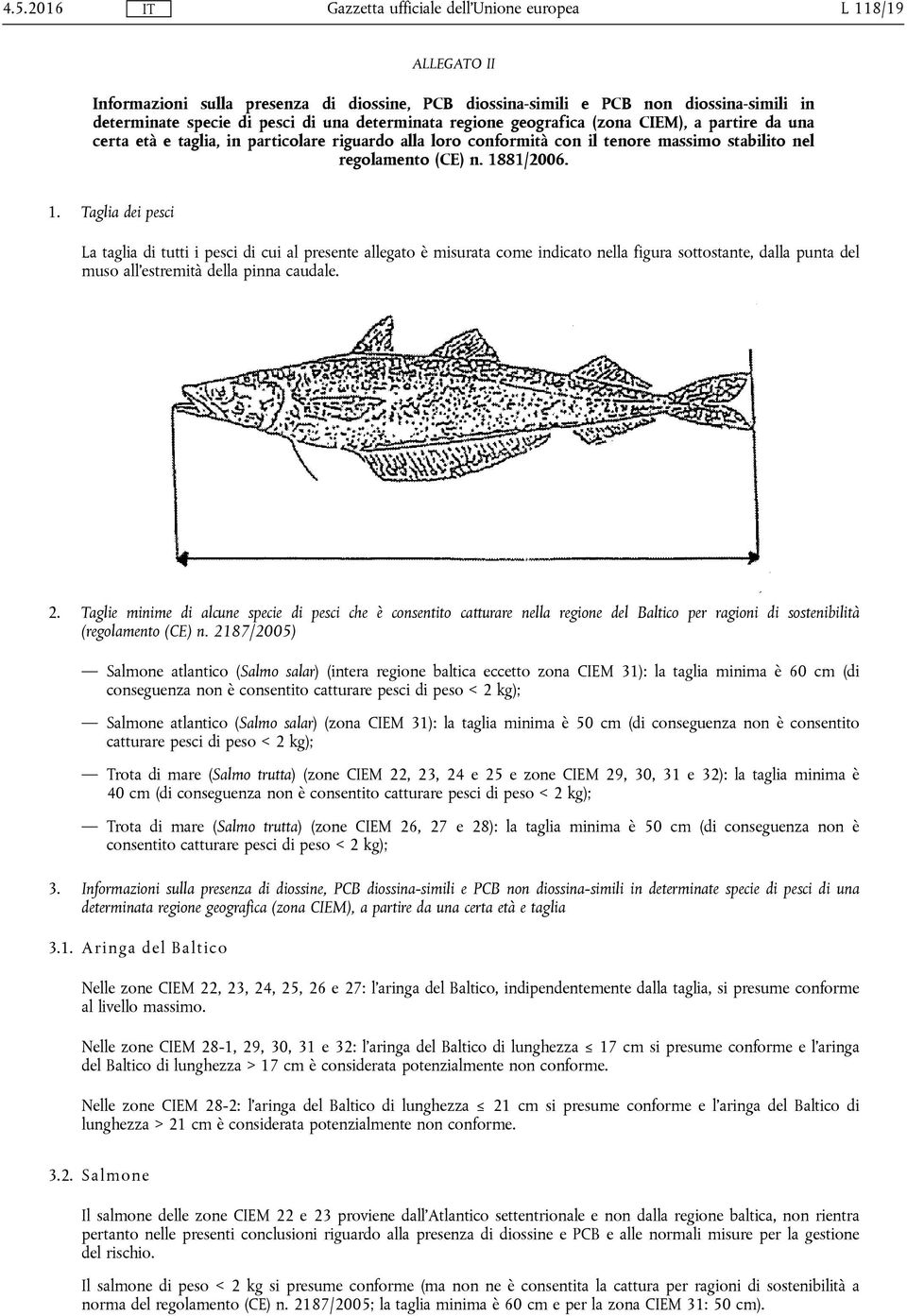 81/2006. 1. Taglia dei pesci La taglia di tutti i pesci di cui al presente allegato è misurata come indicato nella figura sottostante, dalla punta del muso all'estremità della pinna caudale. 2.