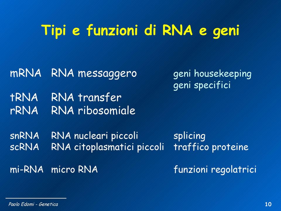 ribosomiale snrna scrna RNA nucleari piccoli splicing RNA