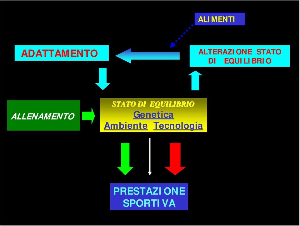 STATO DI EQUILIBRIO Genetica