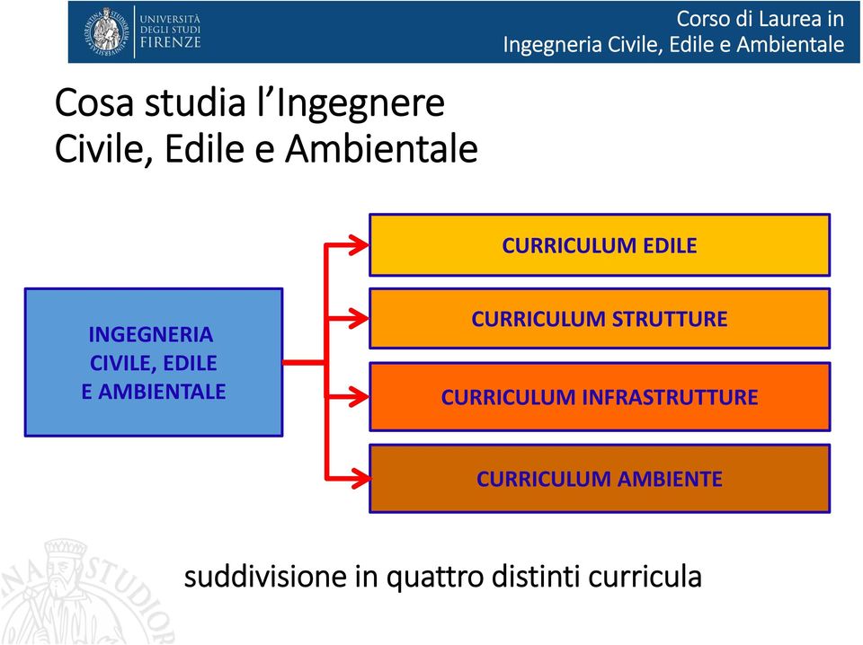 AMBIENTALE CURRICULUM STRUTTURE CURRICULUM