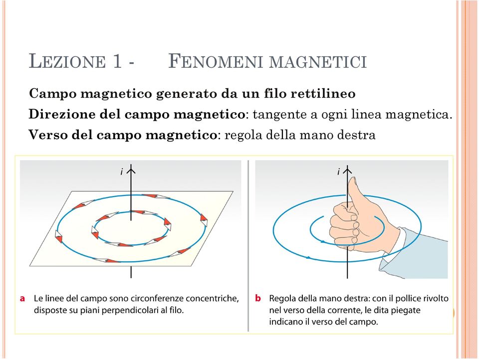 campo magnetico: tangente a ogni linea magnetica.