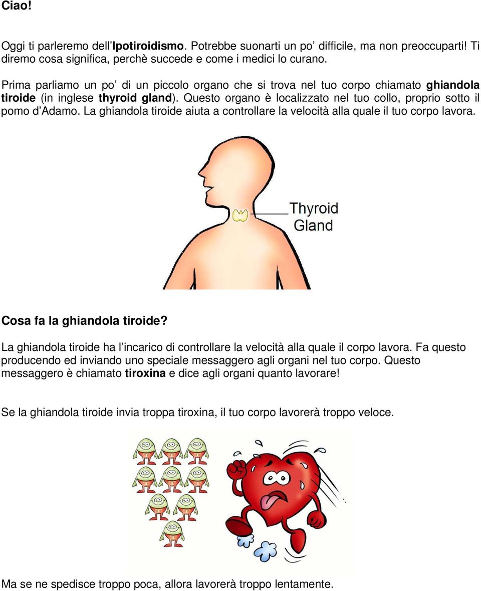 La ghiandola tiroide aiuta a controllare la velocità alla quale il tuo corpo lavora. Cosa fa la ghiandola tiroide?