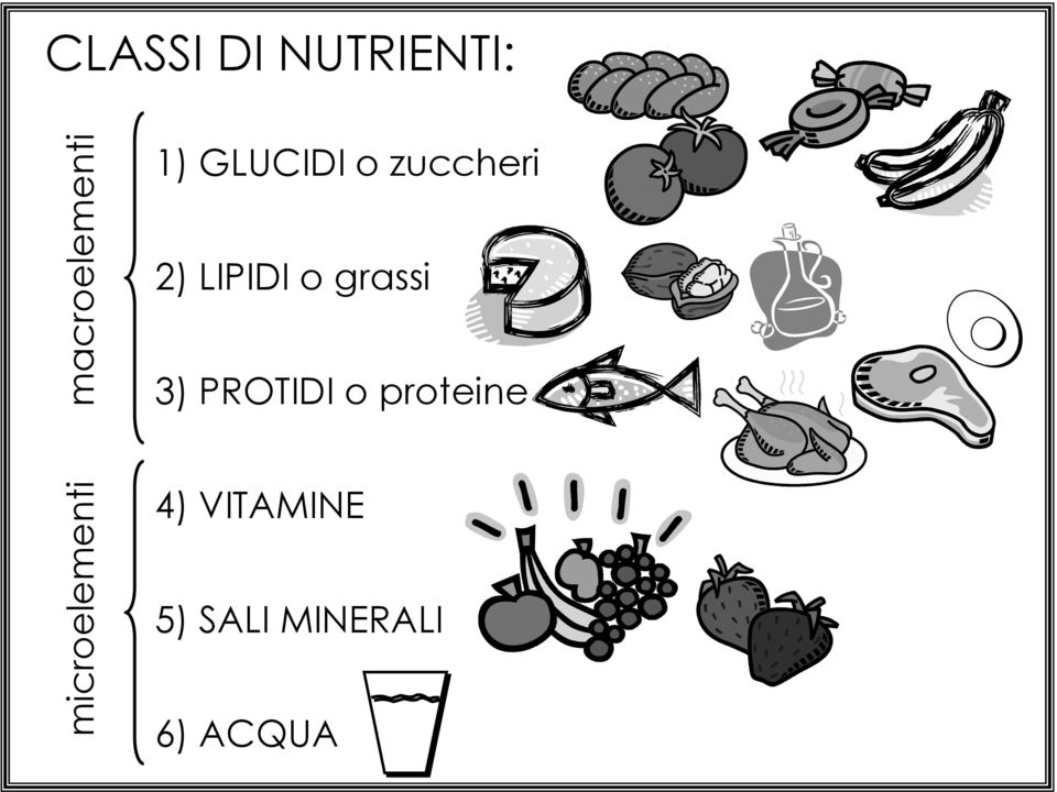 3) PROTIDI o proteine microelementi