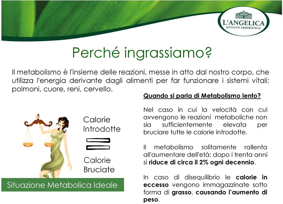 cuore, reni, cervello. Quando si parla di Metabolismo lento?