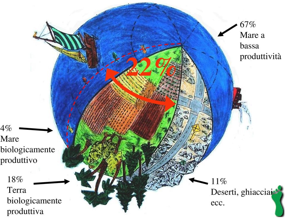 4% Mare biologicamente produttivo 18% Terra