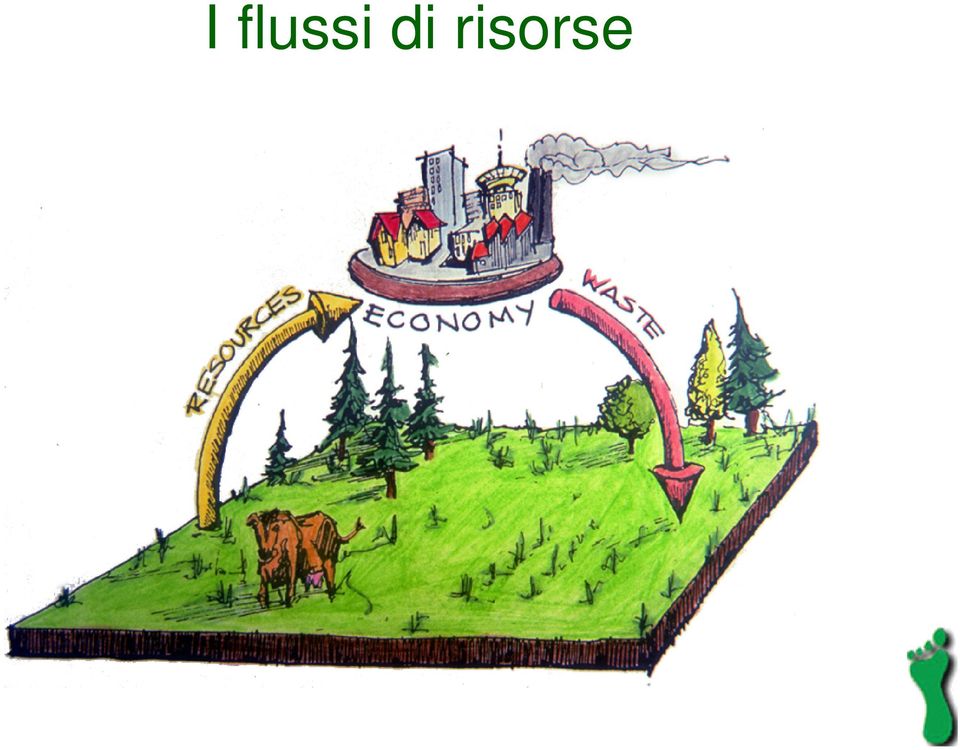 risorse