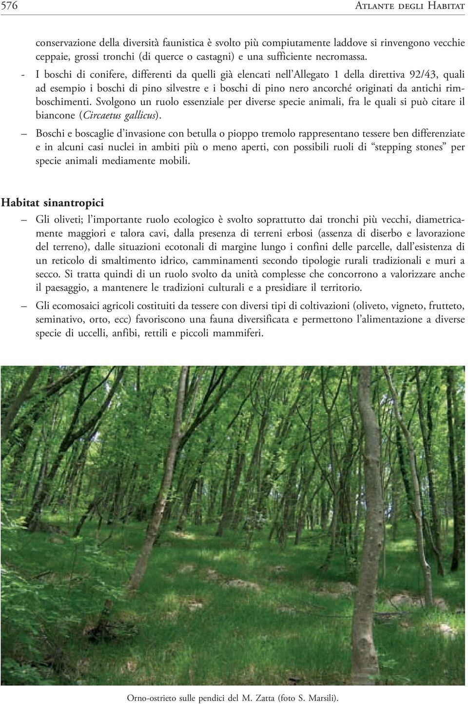 rimboschimenti. Svolgono un ruolo essenziale per diverse specie animali, fra le quali si può citare il biancone (Circaetus gallicus).