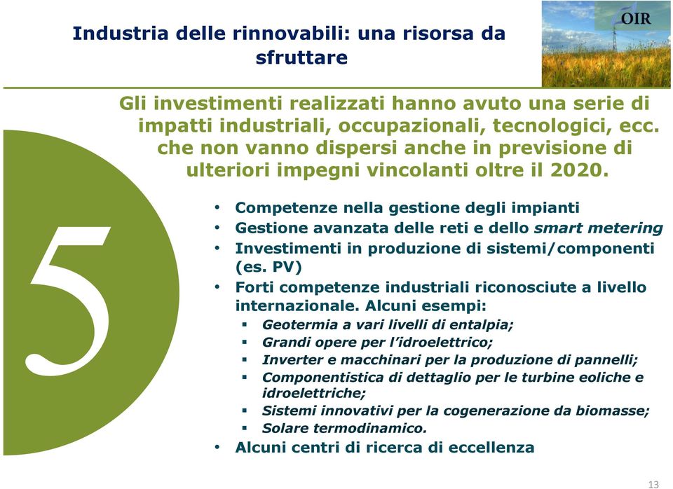 Competenze nella gestione degli impianti Gestione avanzata delle reti e dello smart metering Investimenti in produzione di sistemi/componenti (es.