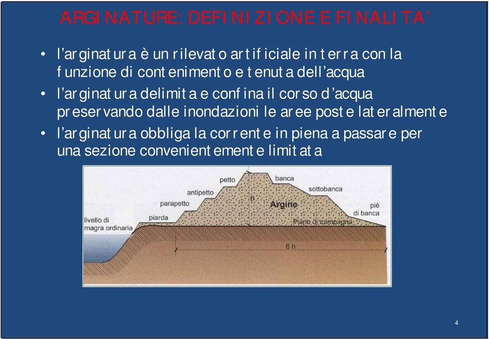 il corso d acqua preservando dalle inondazioni le aree poste lateralmente l