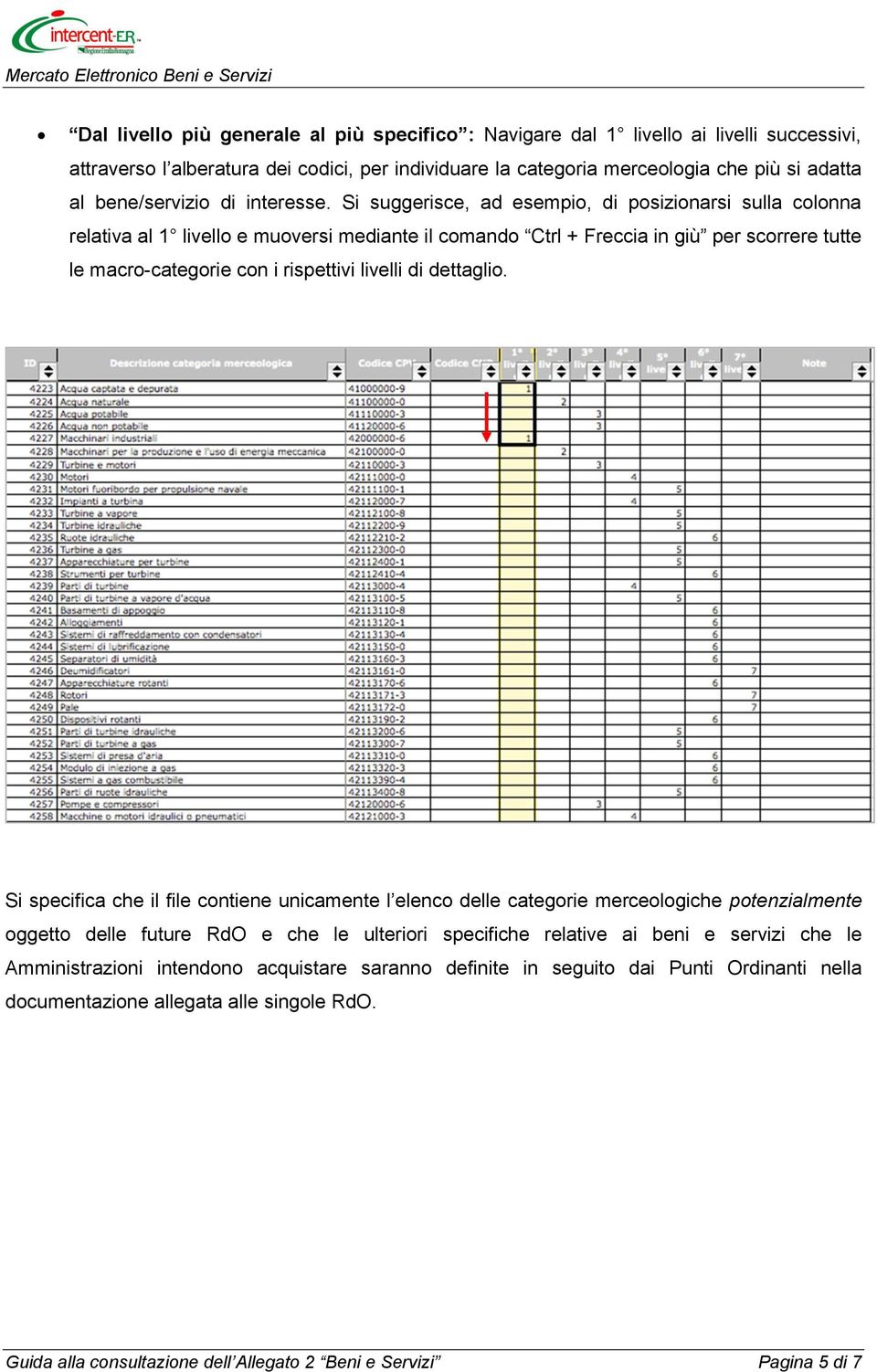 Si suggerisce, ad esempio, di posizionarsi sulla colonna relativa al 1 livello e muoversi mediante il comando Ctrl + Freccia in giù per scorrere tutte le macro-categorie con i rispettivi livelli di