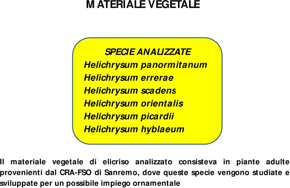 materiale vegetale di elicriso analizzato consisteva in piante adulte