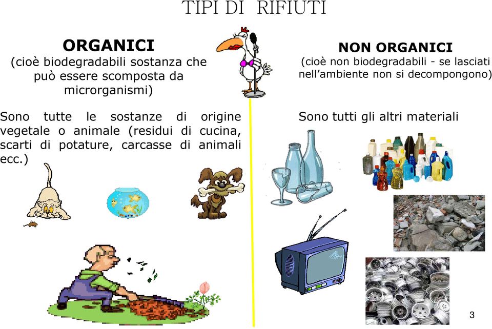 cucina, scarti di potature, carcasse di animali ecc.