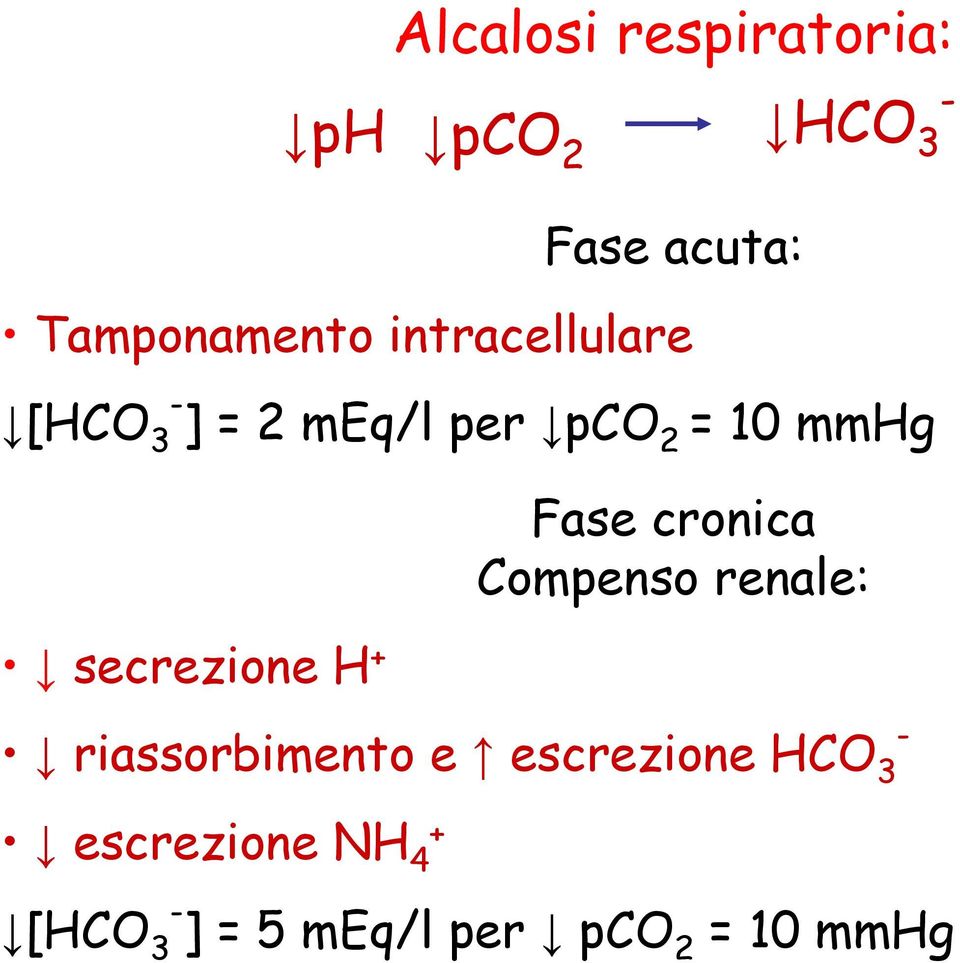 escrezione NH 4 + Fase acuta: Tamponamento intracellulare [HCO