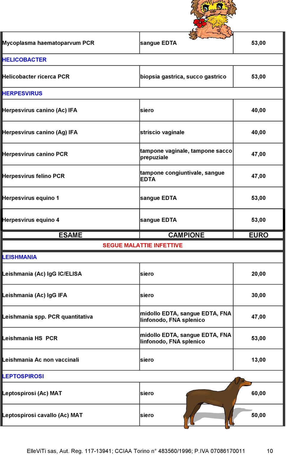 53,00 Herpesvirus equino 4 sangue EDTA 53,00 SEGUE MALATTIE INFETTIVE LEISHMANIA Leishmania (Ac) IgG IC/ELISA siero 20,00 Leishmania (Ac) IgG IFA siero 30,00 Leishmania spp.