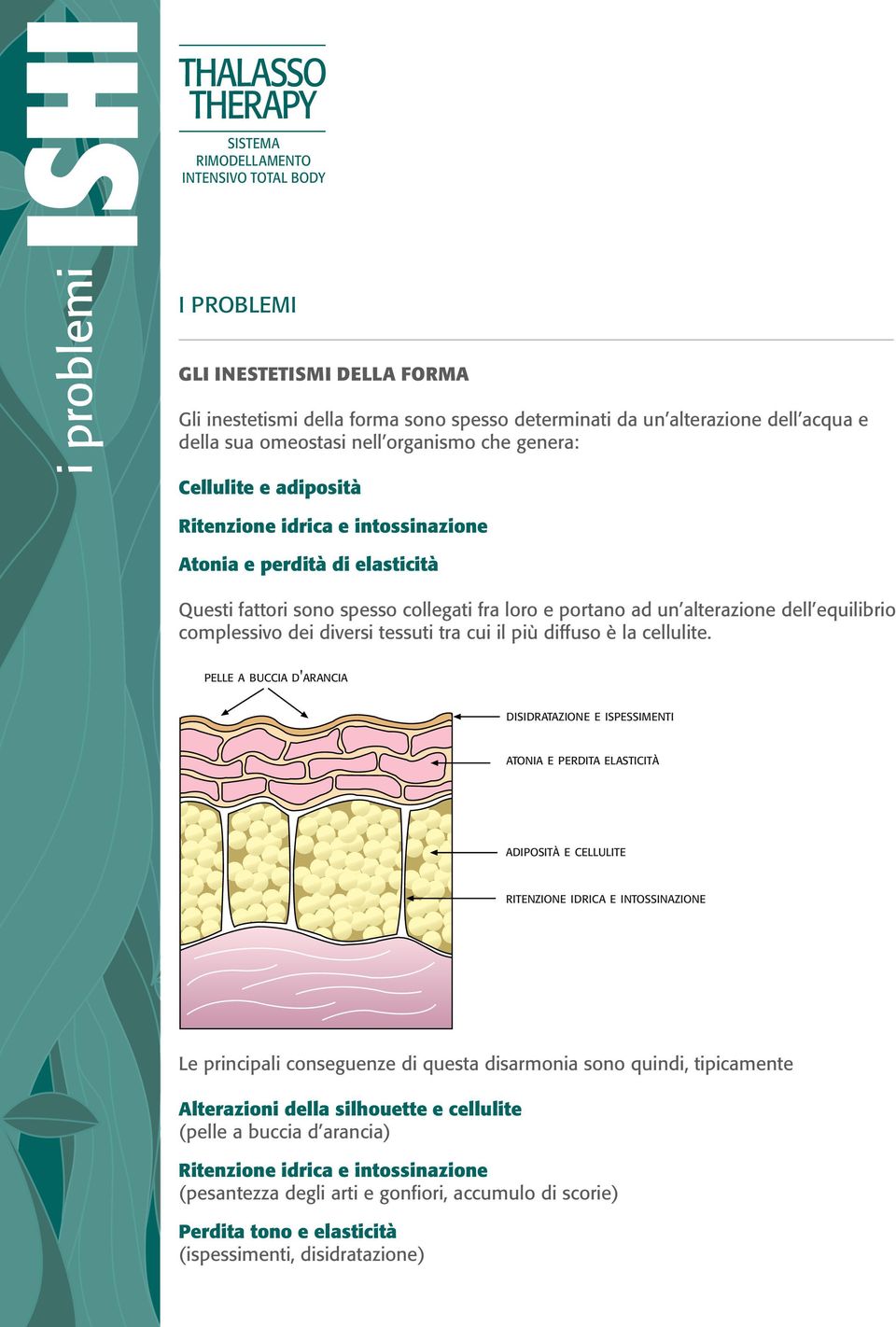 tra cui il più diffuso è la cellulite.