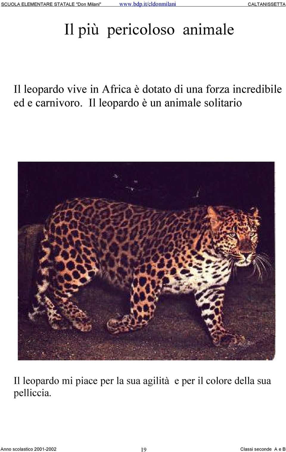 Il leopardo è un animale solitario Il leopardo mi