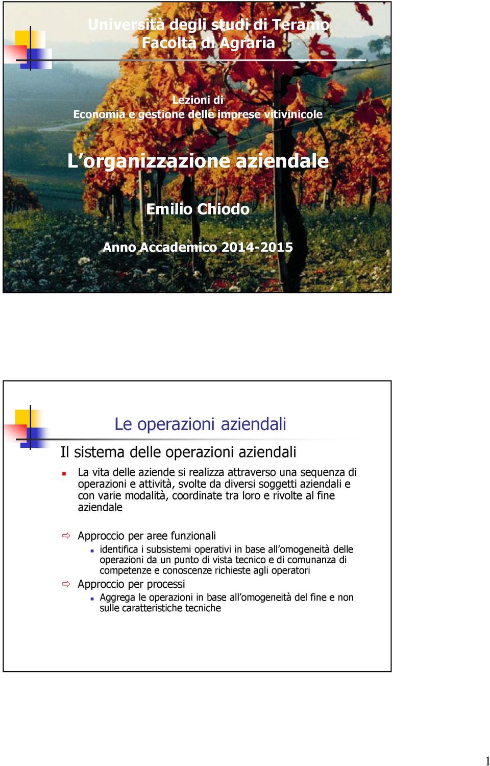 modalità, coordinate tra loro e rivolte al fine aziendale Approccio per aree funzionali identifica i subsistemi operativi in base all omogeneità delle operazioni da un punto di