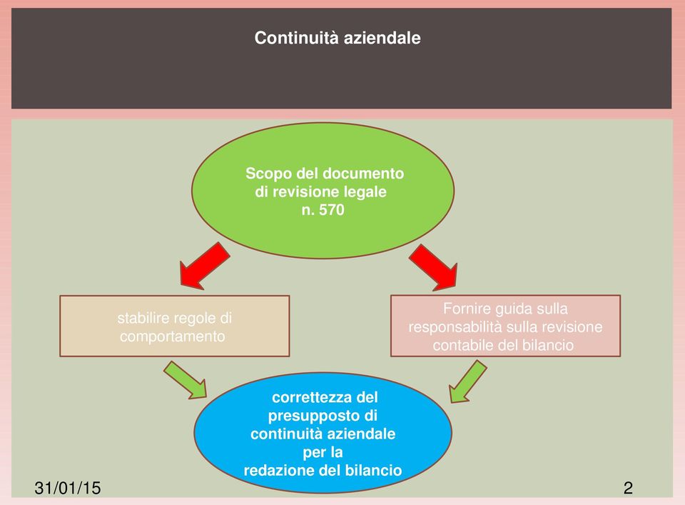 responsabilità sulla revisione contabile del bilancio correttezza