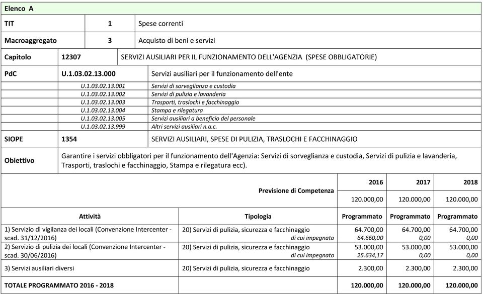 1.03.02.13.999 Altri servizi ausiliari n.a.c.