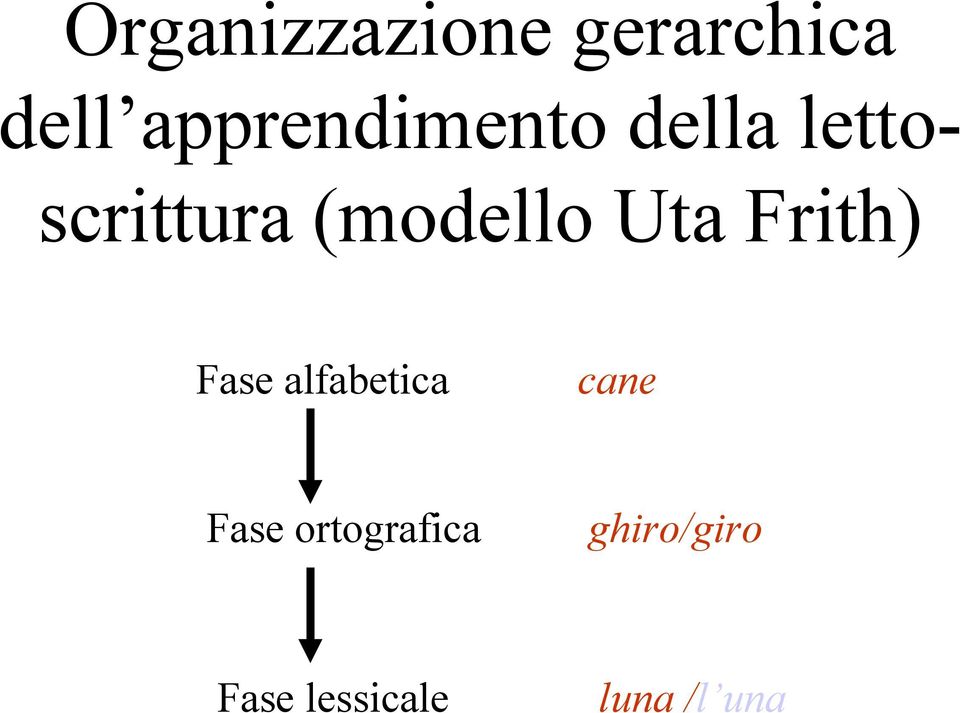 (modello Uta Frith) Fase alfabetica cane