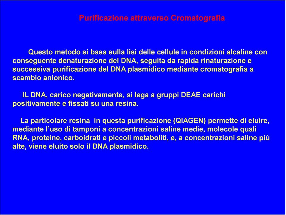 IL DNA, carico negativamente, si lega a gruppi DEAE carichi positivamente e fissati su una resina.