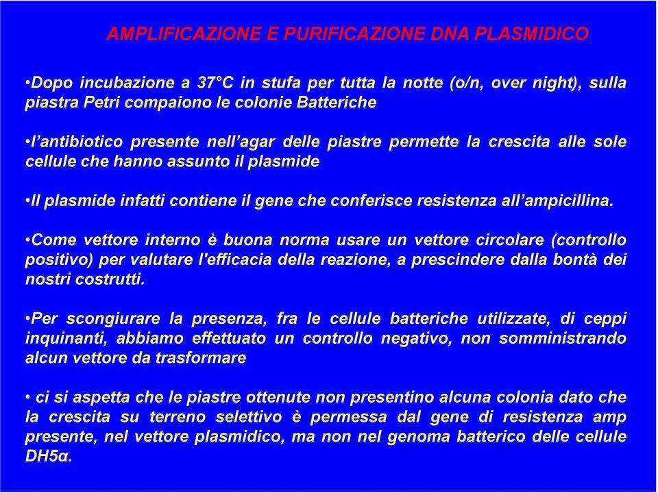 Come vettore interno è buona norma usare un vettore circolare (controllo positivo) per valutare l'efficacia della reazione, a prescindere dalla bontà dei nostri costrutti.