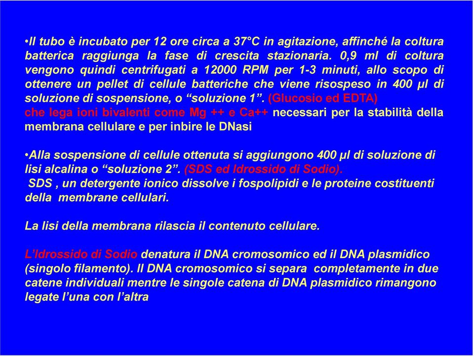 1. (Glucosio ed EDTA) che lega ioni bivalenti come Mg ++ e Ca++ necessari per la stabilità della membrana cellulare e per inbire le DNasi Alla sospensione di cellule ottenuta si aggiungono 400 µl di