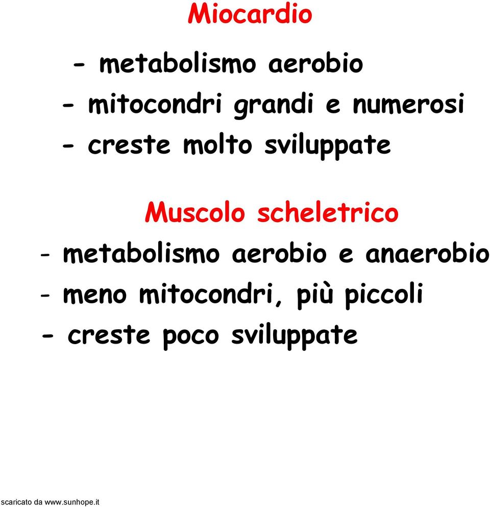 Muscolo scheletrico - metabolismo aerobio e