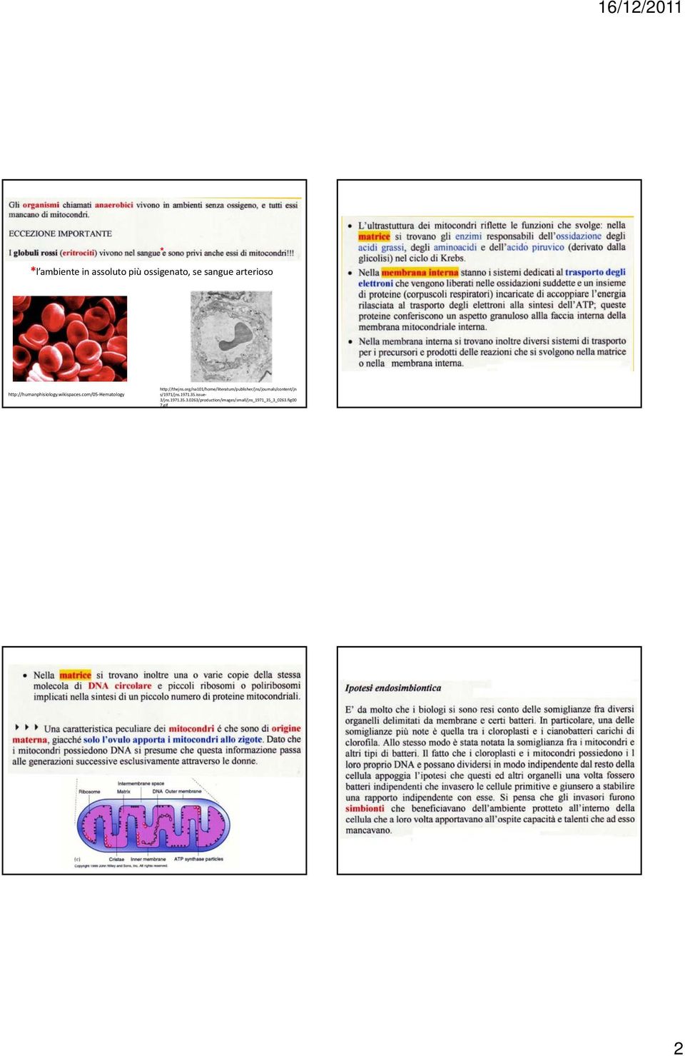 org/na101/home/literatum/publisher/jns/journals/content/jn s/1971/jns.