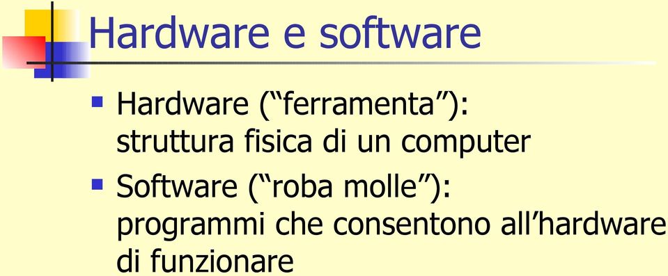 computer Software ( roba molle ):