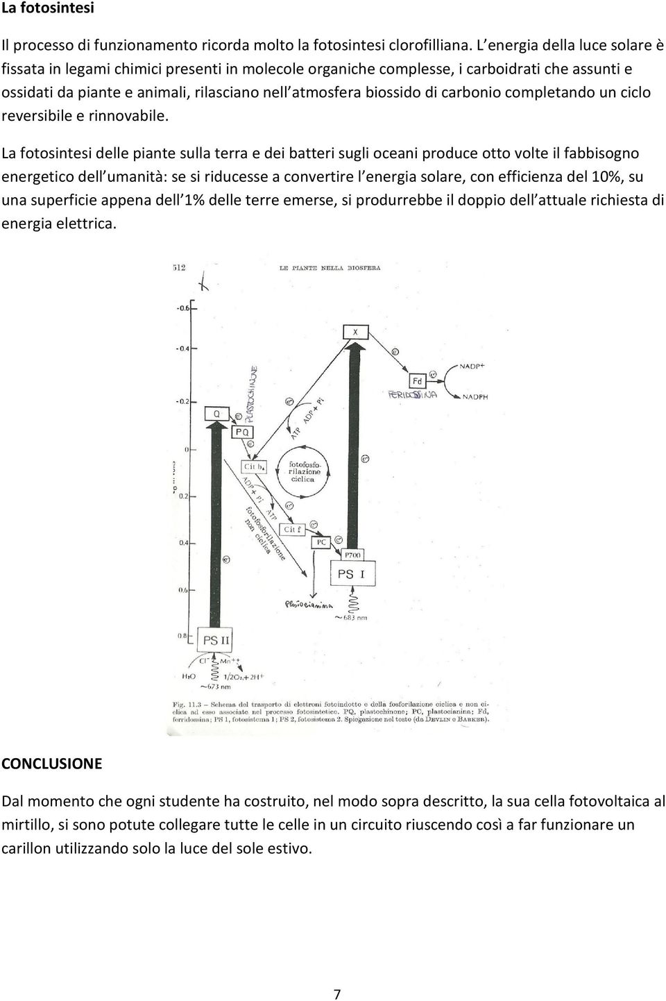 carbonio completando un ciclo reversibile e rinnovabile.