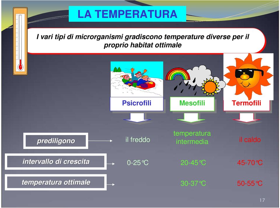Termofili prediligono il freddo temperatura intermedia il caldo