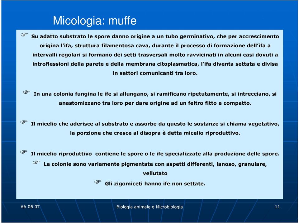 comunicanti tra loro. In una colonia fungina le ife si allungano, si ramificano ripetutamente, si intrecciano, si anastomizzano tra loro per dare origine ad un feltro fitto e compatto.