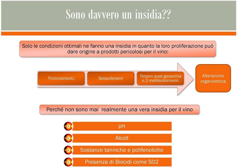 origine a prodotti pericolosi per il vino: Tricloroanisolo; Sesquiterpeni Terpeni quali geosmina