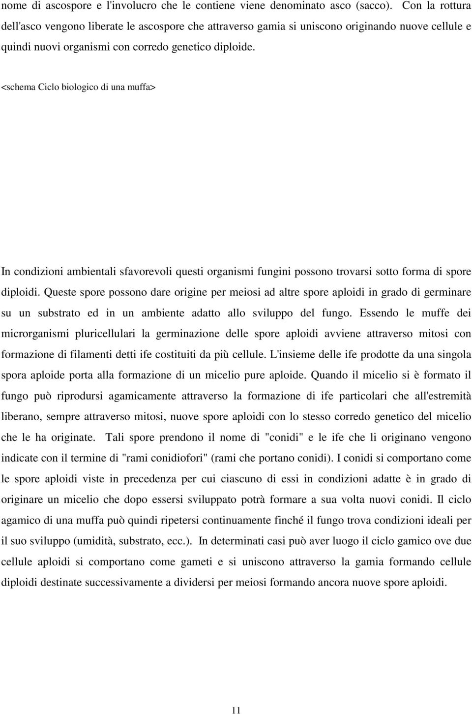 <schema Ciclo biologico di una muffa> In condizioni ambientali sfavorevoli questi organismi fungini possono trovarsi sotto forma di spore diploidi.