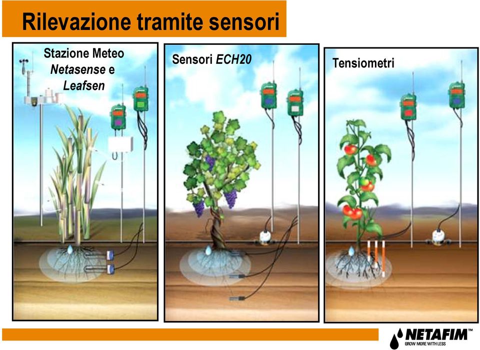 Meteo Netasense e