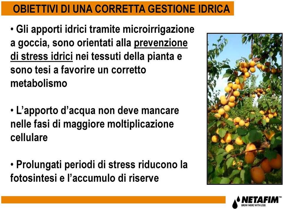 a favorire un corretto metabolismo L apporto d acqua non deve mancare nelle fasi di maggiore