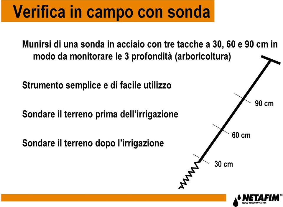 (arboricoltura) Strumento semplice e di facile utilizzo Sondare il