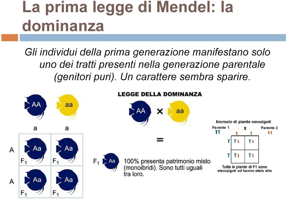 solo uno dei tratti presenti nella generazione