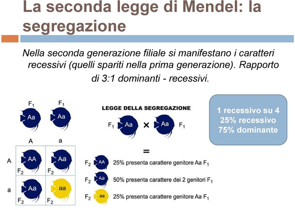 (quelli spariti nella prima generazione).