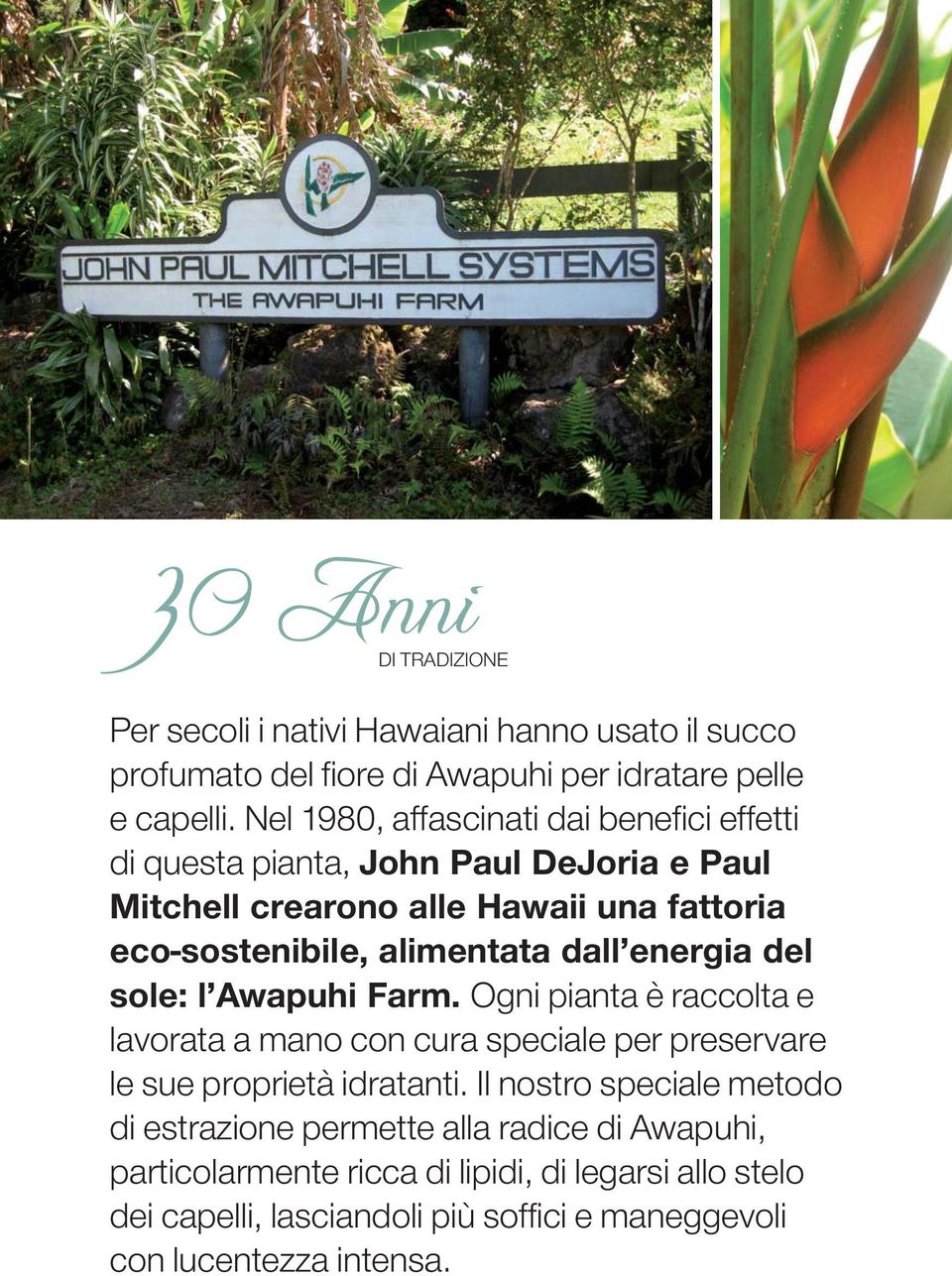 dall energia del sole: l Awapuhi Farm. Ogni pianta è raccolta e lavorata a mano con cura speciale per preservare le sue proprietà idratanti.