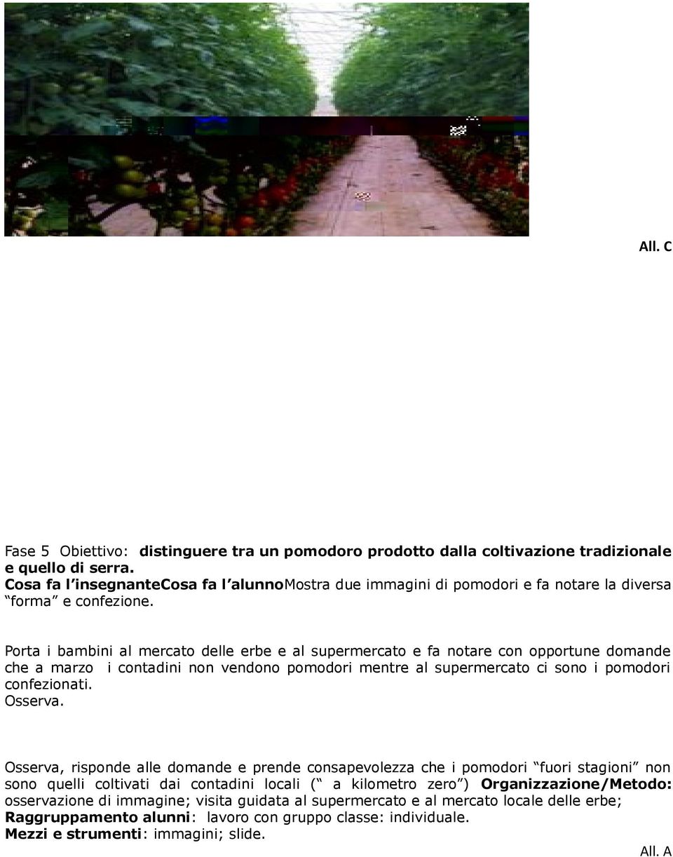 Porta i bambini al mercato delle erbe e al supermercato e fa notare con opportune domande che a marzo i contadini non vendono pomodori mentre al supermercato ci sono i pomodori confezionati.