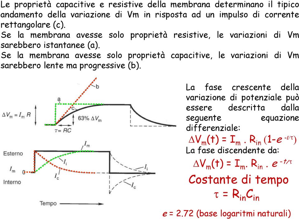 Se la membrana avesse solo proprietà capacitive, le variazioni di Vm sarebbero lente ma progressive (b).