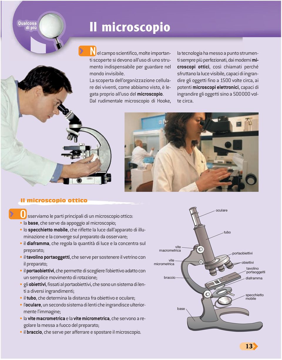 Dal rudimentale microscopio di Hooke, la tecnologia ha messo a punto strumenti sempre più perfezionati, dai moderni microscopi ottici, così chiamati perché sfruttano la luce visibile, capaci di