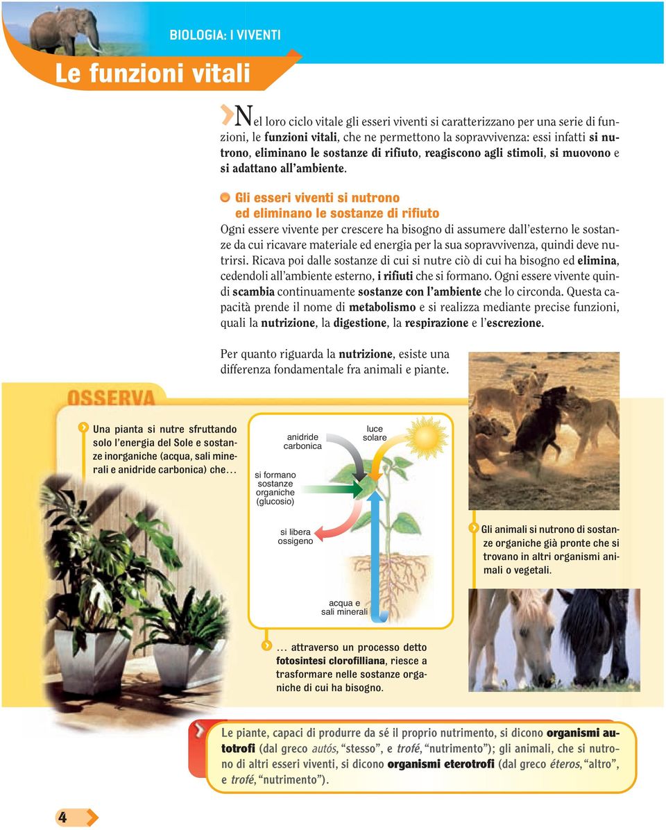 Gli esseri viventi si nutrono ed eliminano le sostanze di rifiuto Ogni essere vivente per crescere ha bisogno di assumere dall esterno le sostanze da cui ricavare materiale ed energia per la sua