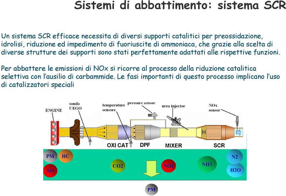 stati perfettamente adattati alle rispettive funzioni.