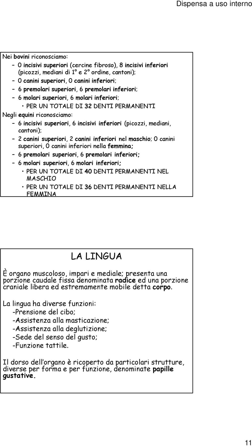 canini superiori, 2 canini inferiori nel maschio; 0 canini superiori, 0 canini inferiori nella femmina; 6 premolari superiori, 6 premolari inferiori; 6 molari superiori, 6 molari inferiori; PER UN