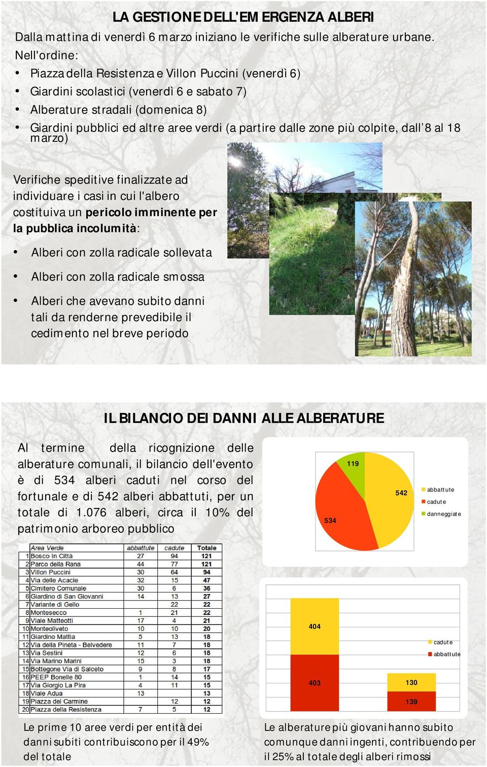 zone più colpite, dall 8 al 18 marzo) Verifiche speditive finalizzate ad individuare i casi in cui l'albero costituiva un pericolo imminente per la pubblica incolumità: Alberi con zolla radicale